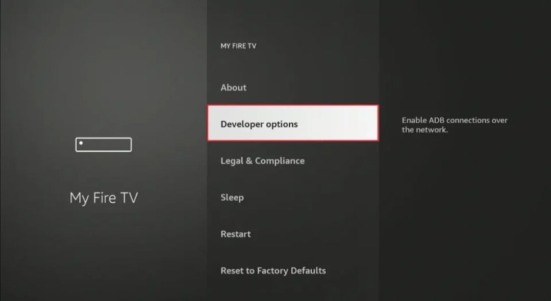 Step 6 – Developer Options Menu